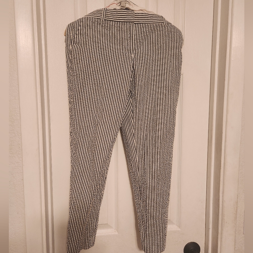 Navy Blue and White Striped Pants